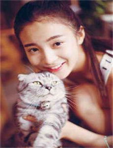 美女与野兽2012
